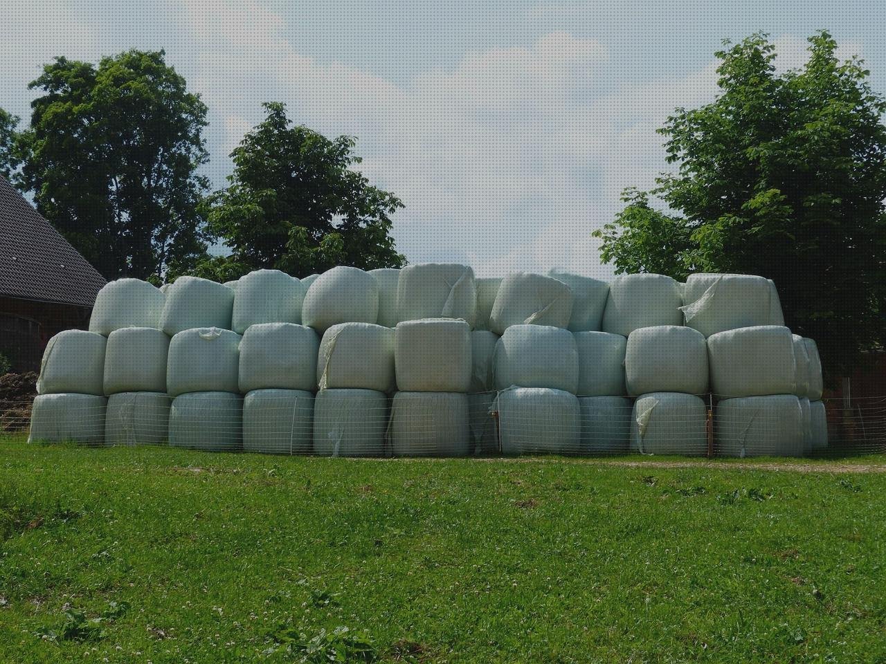 Las mejores plástico bolas rodillos de plástico con rodamientos