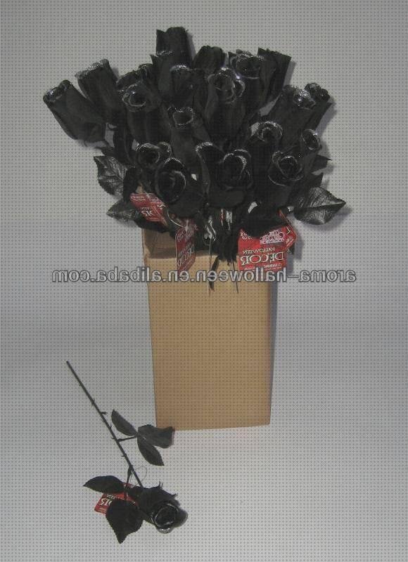 ¿Dónde poder comprar rosas rosa negra plastico?