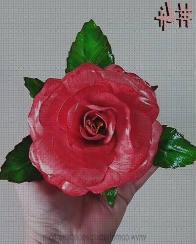 ¿Dónde poder comprar rosas?