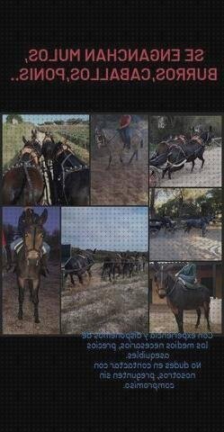 Las mejores sacos sacos de esparto cubrido de plástico por dentro