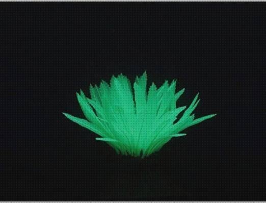Las 13 Mejores siliconas florescente