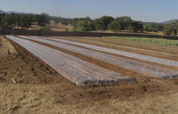 Las mejores caja de plástico 46x60x88 correillas de plástico telhas de plástico solarizacion con plástico negro