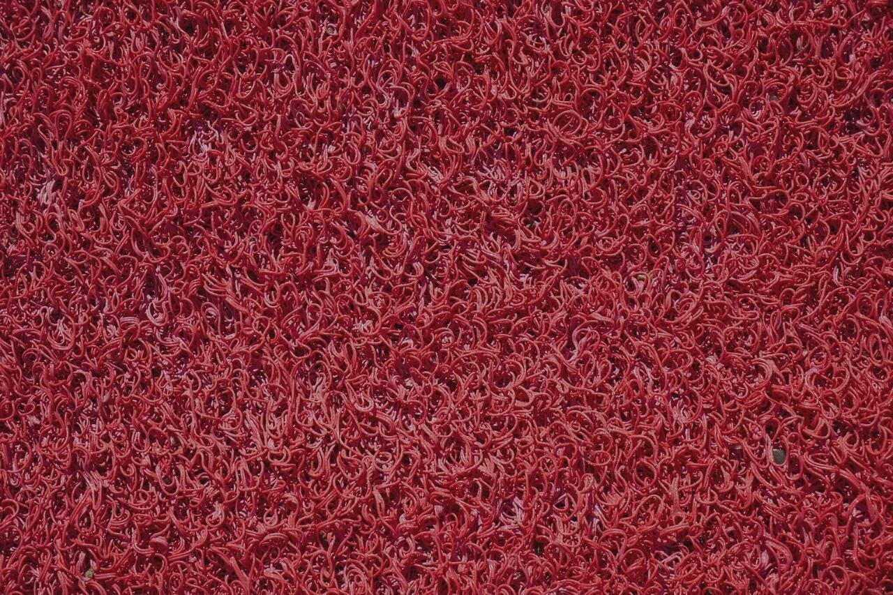 Opiniones de los 24 mejores Suelos De Plásticos