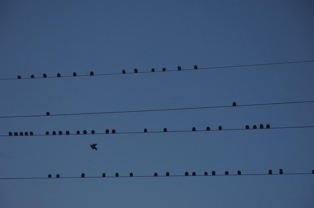 Las mejores marcas de perchero metacrilato estructura metacrilato rótulo corporeo chapa y metacrilato tabique metacrilato