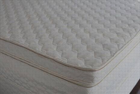 Las mejores marcas de topper de plástico Más sobre depresores linguales plástico Más sobre alcalinidad de la silicona talalay látex mattress topper