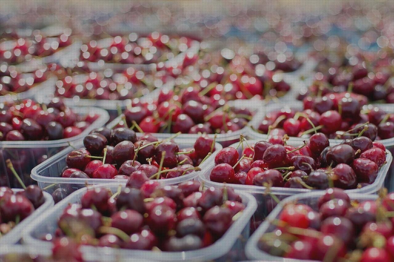 ¿Dónde poder comprar tarrinas plástico alimentario arnes hueco todo de silicona arnes de plástico tarrinas de plastico alimentario?