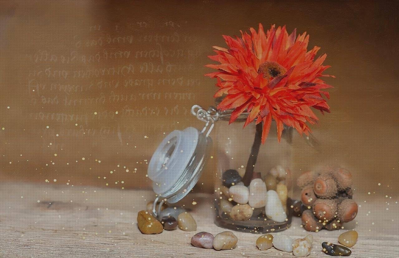 Las mejores marcas de tarros plástico silicona neutra ral 8011 blinkers pintura plastica ral 1013 tarro de plastico balsamo