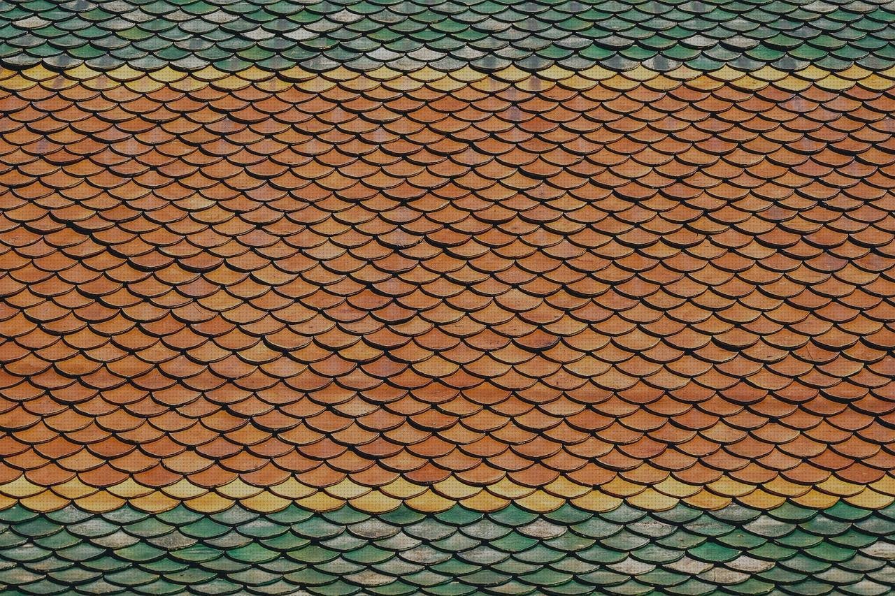 Opiniones de techo policarbonato con madera madera plastica techo galeria madera y policarbonato
