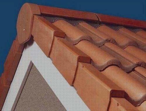 Las mejores marcas de tejado plástico Más sobre grinder plástico Más sobre funda s10 silicona tejados de plástico