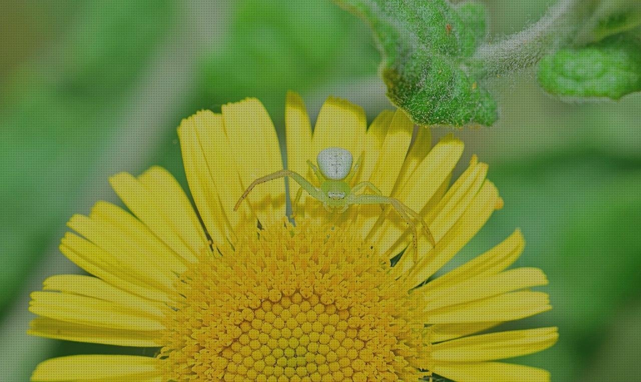 Las mejores flores plástico tela de flores pequeñas de plastico azul