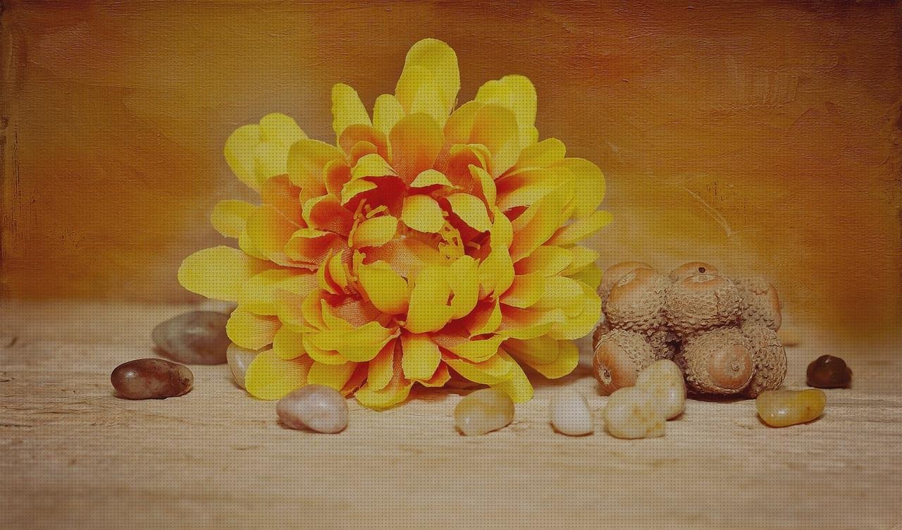 ¿Dónde poder comprar lona plástico fachadas ventiladas de policarbonato fachada policarbonato tela de plástico alimentario?