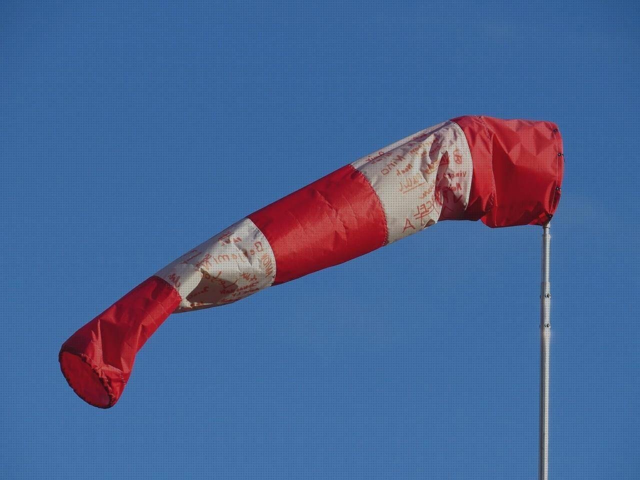 Las mejores 11 Telas Plastica De 22mm