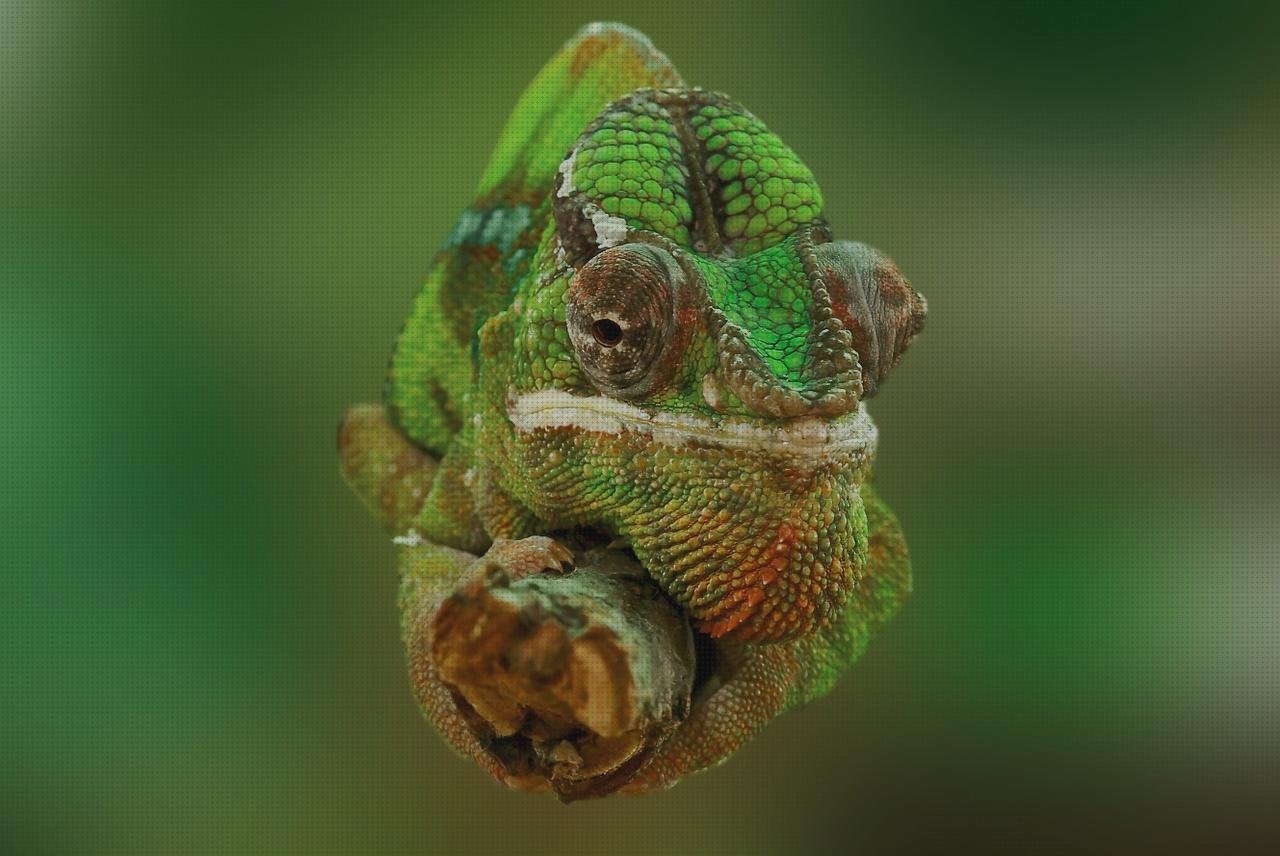 ¿Dónde poder comprar perchero metacrilato estructura metacrilato rótulo corporeo chapa y metacrilato terrario metacrilato?