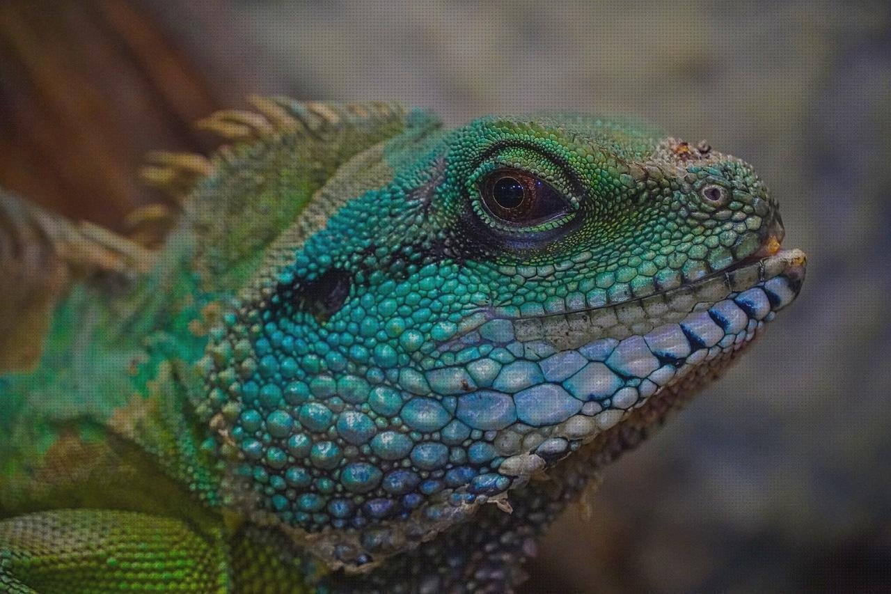 Las mejores perchero metacrilato estructura metacrilato rótulo corporeo chapa y metacrilato terrario metacrilato