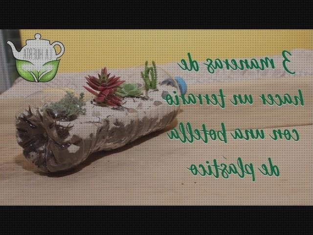 ¿Dónde poder comprar disfraces con botellas de plástico botellas terrarios con botellas de plástico?