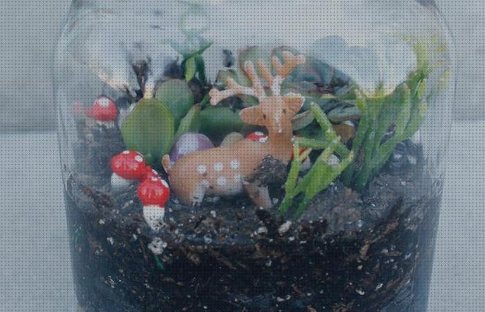 Los 17 Mejores Terrarios Con Botellas De Plásticos
