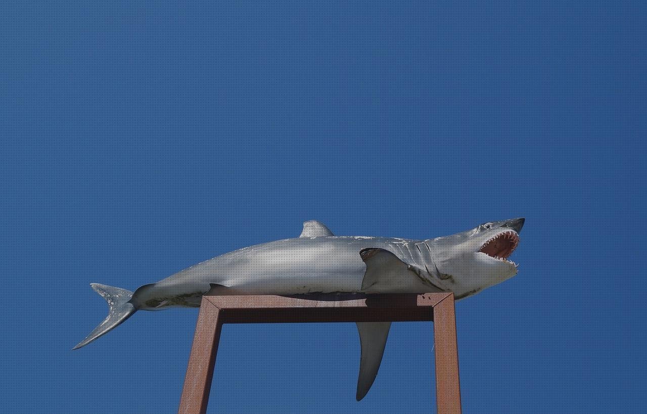 ¿Dónde poder comprar caderas de silicona cadera de plástico plana de plástico tiburones de plástico?