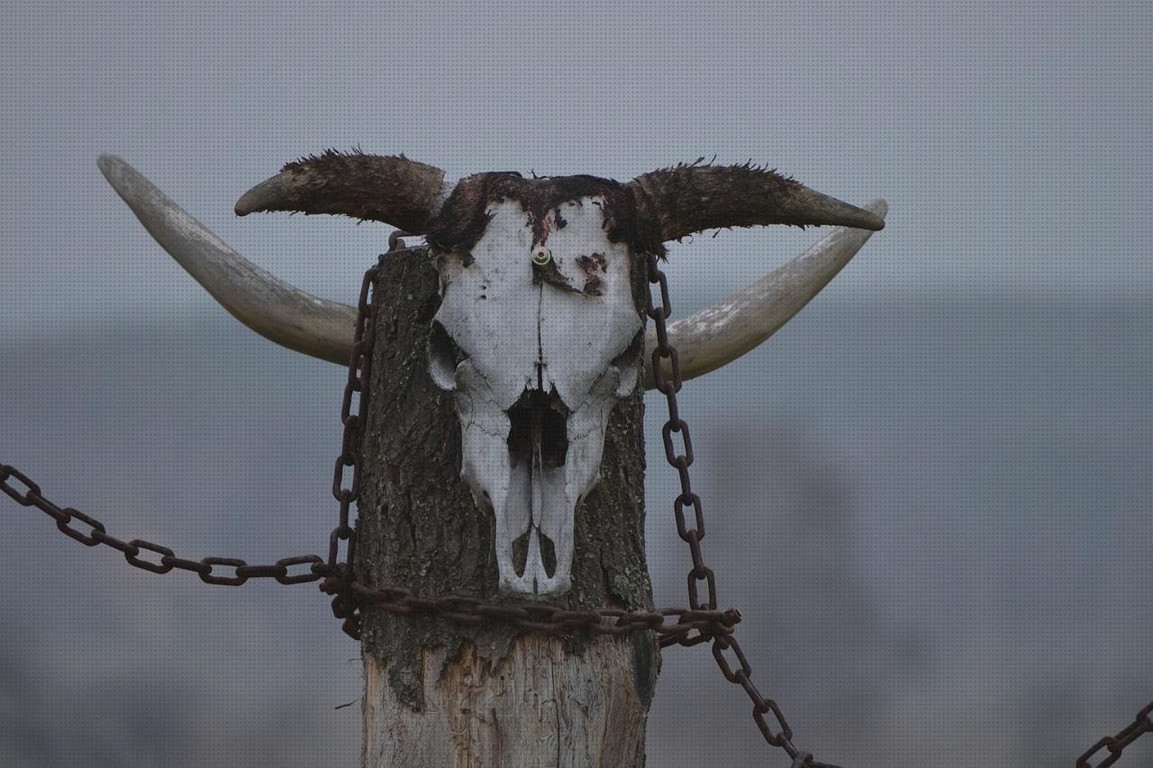 Review de totem pulsera metacrilato