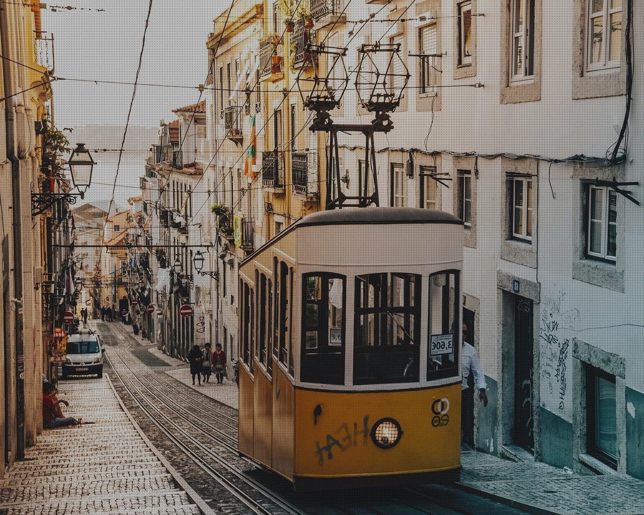 Mejores 11 trolley policarbonatos