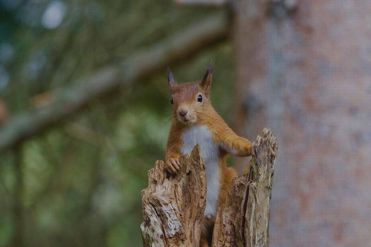 ¿Dónde poder comprar erlenmeyer plástico barato erlenmeyer plástico yellow látex dress tuper plástico?