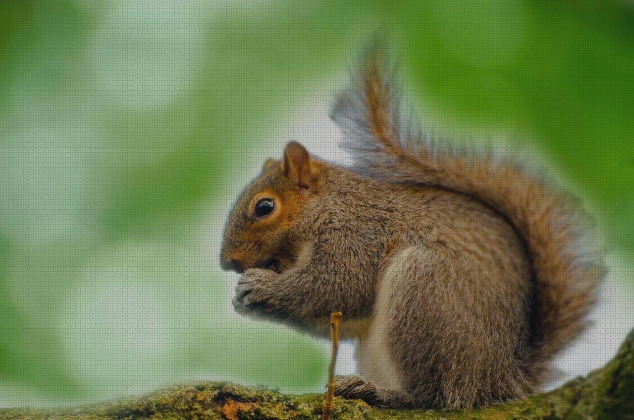 Las mejores erlenmeyer plástico barato erlenmeyer plástico yellow látex dress tuper plástico