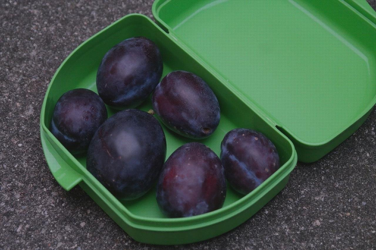 Análisis de los 1 mejores Tuppers De Plásticos Dobles