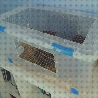 ¿Dónde poder comprar tuppers tupper de plastico grande?