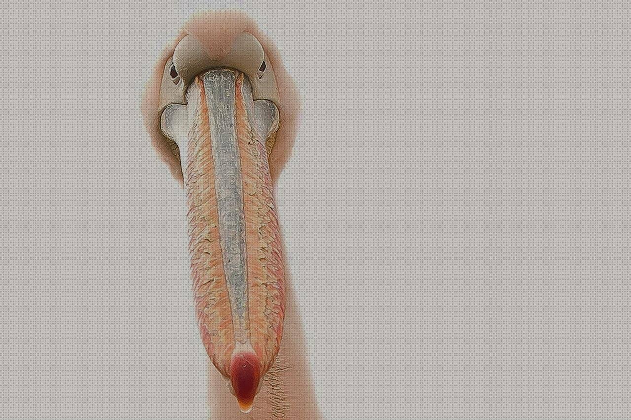 Las mejores sanitario de plastico playas con plastico playa de plastico uña plastico desmontadora