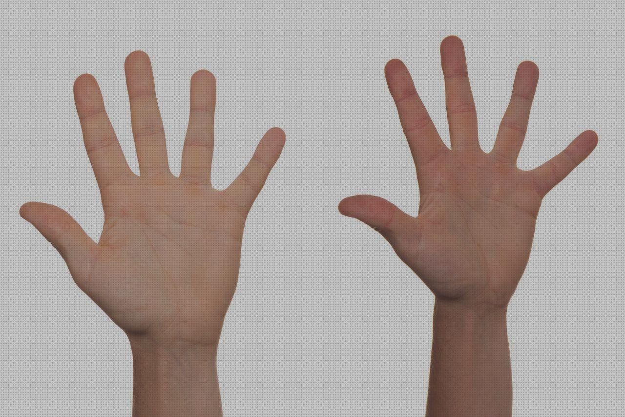 Las mejores marcas de urna metacrilato metacrilato urna metacrilato primera piedra