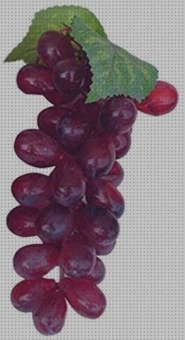 Las mejores uvas uvas plastico