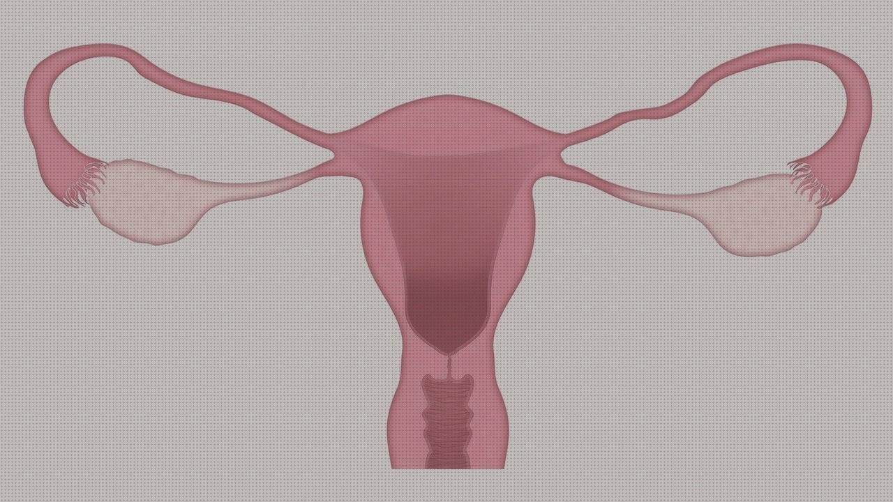 Review de vagina de plástico