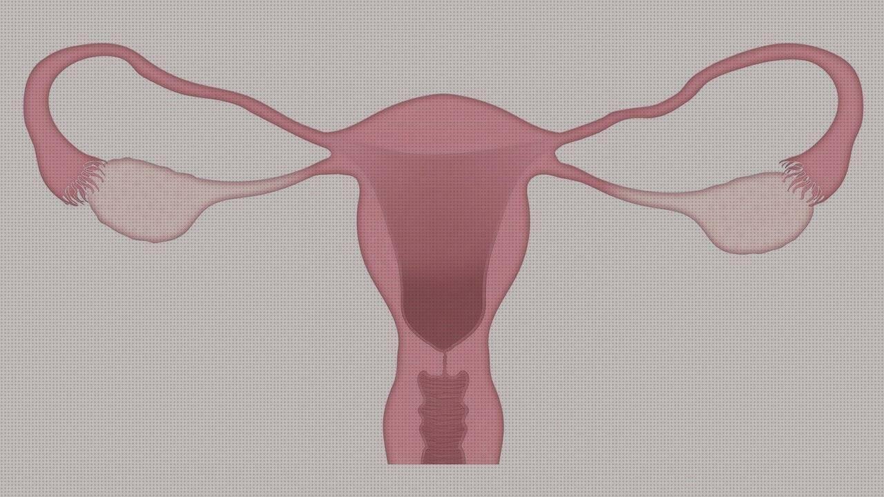 Las mejores vagina plastico armario conglomerado y revestimiento melaminico lavadora melaminico blanco vagina plastica