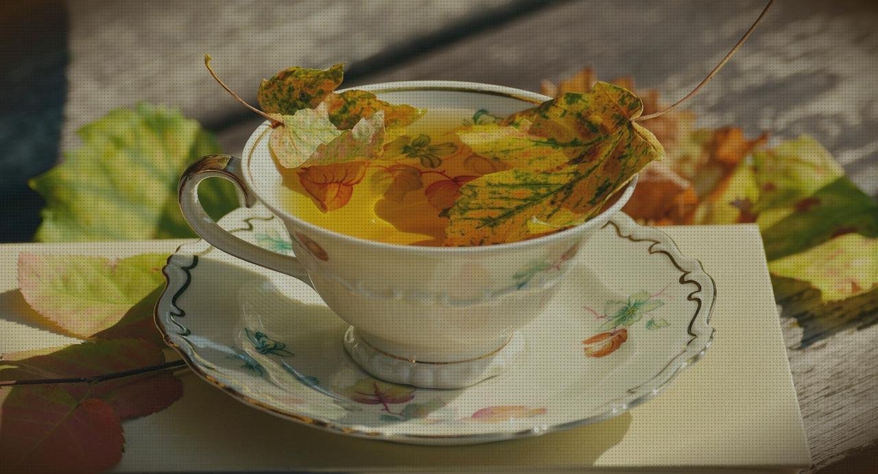 Las mejores marcas de vajillas plástico fachadas ventiladas de policarbonato fachada policarbonato vajilla melamina nautica