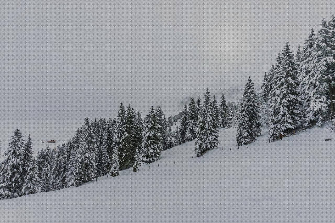 Las 4 Mejores Velas Cubiertas Con Plásticos